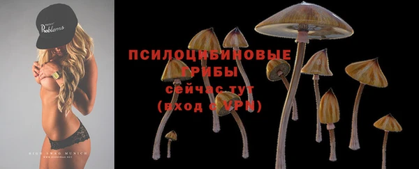 PSILOCYBIN Беломорск